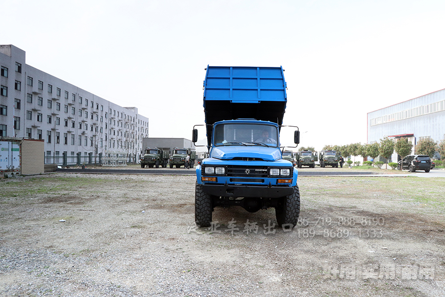 <strong>怎么选购东风6X6六驱EQ2100自卸越野车，在选购和提车时应该注意什么问题</strong>