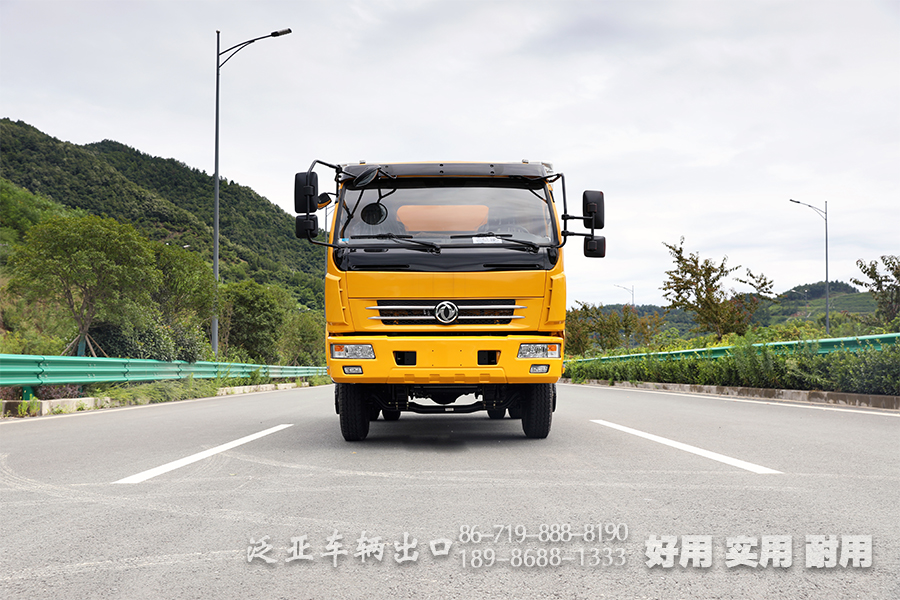 东风4x2轻卡,轻卡越野专用车,160马力小型卡车,小型卡车定制,出口微卡厂家,越野专用车,出口专用车厂家