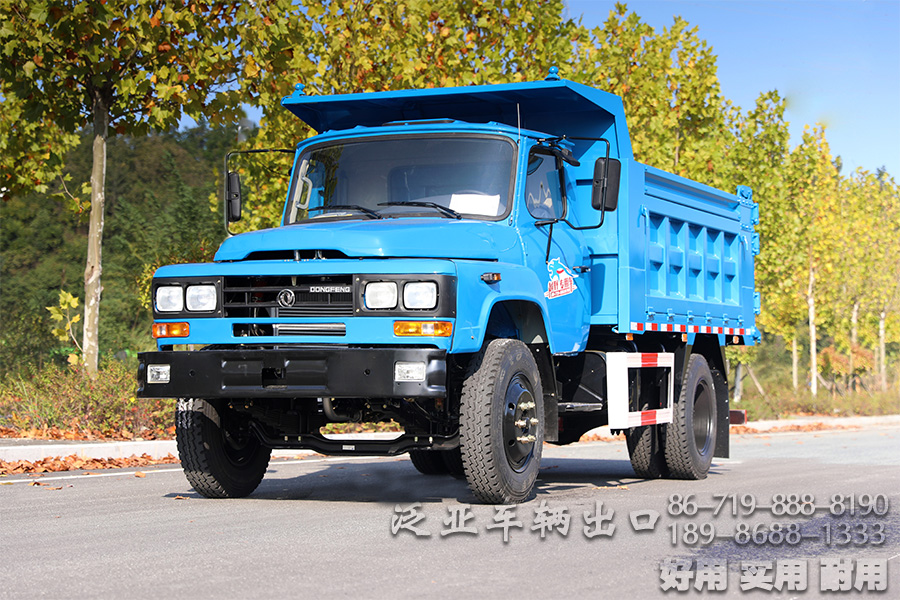 东风4*2底盘,4*2轻卡,尖头越野底盘,越野底盘定制,116马力底盘,小型卡车底盘,EQ3092,轻型微卡,微卡底盘改装