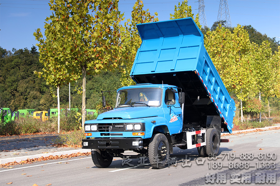 东风4*2底盘,4*2轻卡,尖头越野底盘,越野底盘定制,116马力底盘,小型卡车底盘,EQ3092,轻型微卡,微卡底盘改装